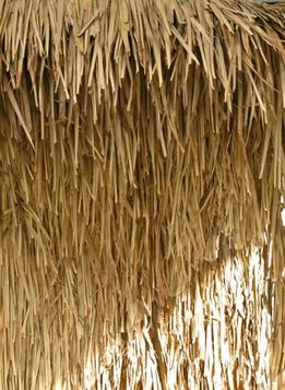 Thatch Panel 4 x 4 foot Natural Tiki Bar Supplies Lua Party Ideas, Lua Party, Summer Backyard Fun, Hawaiian Luau Party Decorations, Christmas Party Planning, Luau Party Decorations, Paper Lantern Lights, Hawaiian Luau Party, Design Restaurant