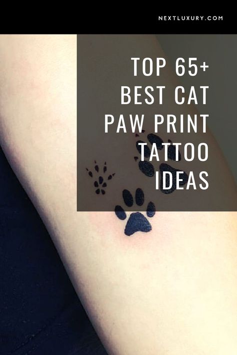 Cat paw ink reflects what inspires the wearer, whether it’s the eccentric, inquisitive house cat, or pouncing King of the Jungle. Symbolism and style are linked to the behavior or characteristics that resonate or remind you of the animal. #nextluxury #catpawprinttattoo #catpawtattoos #catpawtattoodesign #catpawprinttattooideas Small Cat Paw Tattoo Ideas, Cat Tattoo With Paw Prints, Cats Paws Tattoo, Small Tattoos Cat Paw, Cat Paws Tattoo Ideas, Tiny Paw Print Tattoo Cats, Cat Paw Memorial Tattoo, Cute Cat Paw Tattoo, Cat Paw Print Tattoo Placement