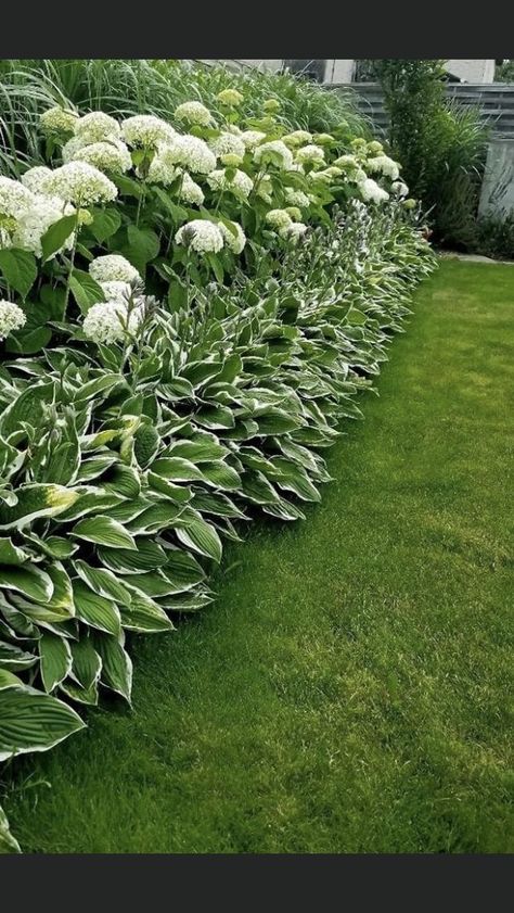 Hydrangeas And Hostas, Design A Garden, Hydrangea Landscaping, Small Garden Ideas, Hydrangea Garden, Fence Landscaping, Home Garden Design, Home Landscaping, Garden Landscape Design