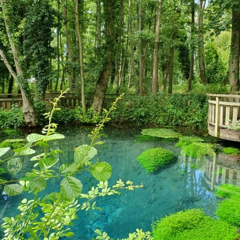 Blue water, green nature, lake, aesthetic, place to take aesthetic pictures Blue And Green Flowers Aesthetic, Blue And Sage Green Aesthetic, Green And Blue Aesthetic Nature, Greeny Blue Aesthetic, Light Blue Green Aesthetic, Blue Nature Aesthetic, Green Princess Aesthetic, Green And Blue Aesthetic, Take Aesthetic Pictures