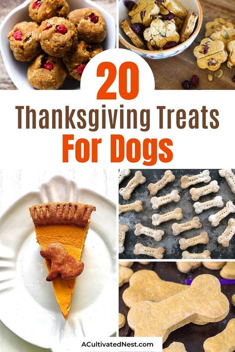 Cheese Treats For Dogs, Rice Dog Treats, Thanksgiving Dog Treats Easy, Meaty Dog Treats, Dog Friendly Thanksgiving Food, Dog Friendly Thanksgiving Dinner, Thanksgiving Dog Treat Recipes, Thanksgiving Food For Dogs, Thanksgiving Meal For Dogs