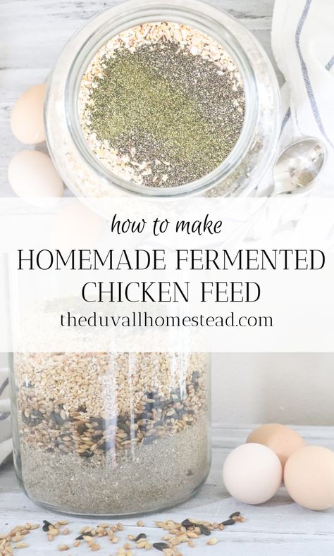 How to Make Fermented Chicken Feed - The Duvall Homestead Fermented Chicken Feed Recipe, Soaking Chicken Feed, Homemade Chicken Feed For Layers, Micro Homestead, Chicken Feed Recipe, Natural Chicken Feed, Fermented Chicken Feed, Chicken Feed Diy, Homemade Chicken Feed