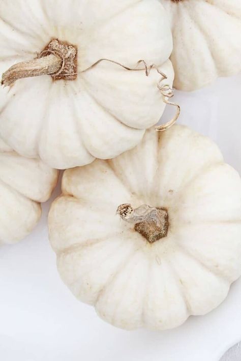 Neutral Halloween Aesthetic, White Pumpkins Aesthetic, Soft Halloween Aesthetic, White Halloween Aesthetic, Halloween Aesthetic Pictures, Classy Halloween Decorations, Halloween Decorations Indoor Scary, Neutral Halloween Decor, Halloween Decorations Outdoor Porch