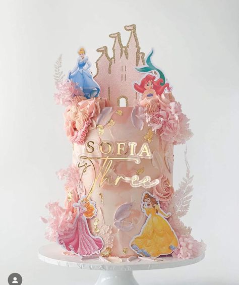 Princess Cake Two Tier, Small Princess Cake, Fairies Cake, Belle Birthday Party, Hello Party, Belle Birthday, Princess Theme Birthday, 30 Birthday Cake, Castle Cake