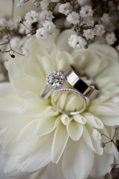 Hartley Botanica, خواتم خطوبة, Wedding Ring Photography, Wedding Ring Shots, White Dahlia, Moissanite Engagement Ring White Gold, Ring Photography, Wedding Rings Photos, Wedding Picture Poses