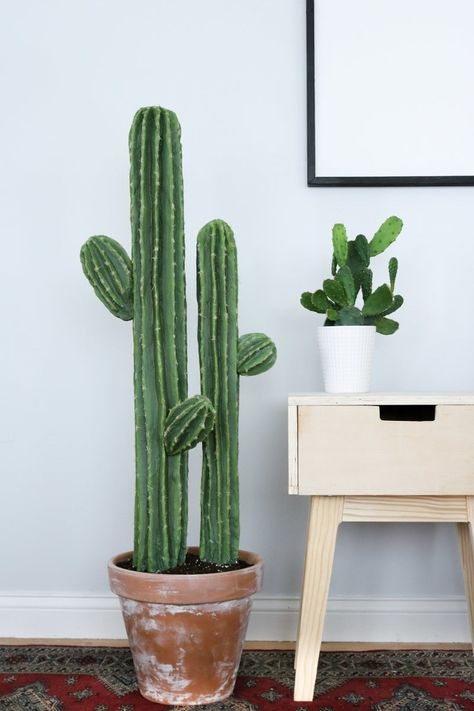 Fake Cactus, Kaktus Dan Sukulen, Cactus House Plants, Cactus Craft, Faux Cactus, Indoor Cactus, Cactus Diy, Cute Cactus, Cactus Decor