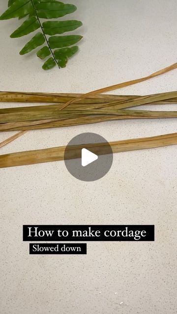 Forage_from_nature on Instagram: "For those that requested a slower version of how to make cordage, here it is.  The fibres I used to make this cordage was chasmantha floribunda.  #cordage #cordagemaking #naturalfibres #chasmanthafloribunda #naturalfibers #naturalfibrecordage #foraged_from_nature #foragedfromnature" How To Make Cordage, Art With Natural Materials, Making Cordage From Plants, Cordage Diy, How To Make Natural Cordage, Foraged Crafts, Weaving With Plants, Cattail Leaves Weaving, Weaving Cattails