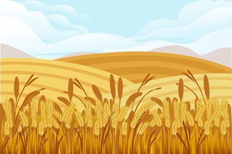 Corn Field Illustration, Wheat Field Illustration, Crops Illustration, Rural Illustration, Horizontal Banner Design, Wheat Illustration, Wheat Drawing, Land Illustration, Farm Illustration