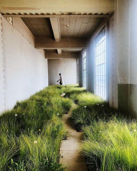 Dandelions 🌾 | An amazing immersive experience created by @upcomingla to fulfill all dandelion wishes ✨ Catch more of it on my stories! Greenery Installation, Organic Seating, Watch Concept, Installation Architecture, Grass Installation, Plant Installation, Dandelion Wishes, Floral Installations, Garden Pavilion