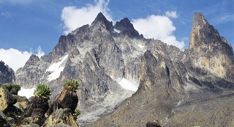 Mount Kenya Highlands Castle, Mt Kenya, Zulu Warrior, Mount Kenya, Kenya Travel, Kenya Safari, Out Of Africa, Laundry Hacks, African Countries