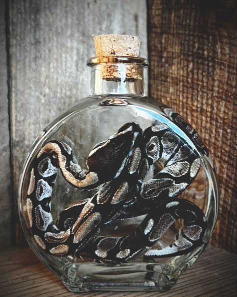 wet specimen snake Wet Specimen Display, Taxidermy Art Weird, Haunted Attic, Taxidermy Aesthetic, Wet Specimen Taxidermy, Wet Specimen, Taxidermy Art, Vulture Culture, Food Decor