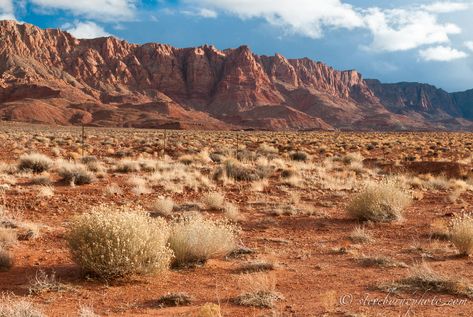 New Mexico Aesthetic, American Desert, Desert Background, Desert Aesthetic, Desert Photography, Valley Of The Kings, Wallpapers Images, Wallpapers Backgrounds, Free Hd Wallpapers