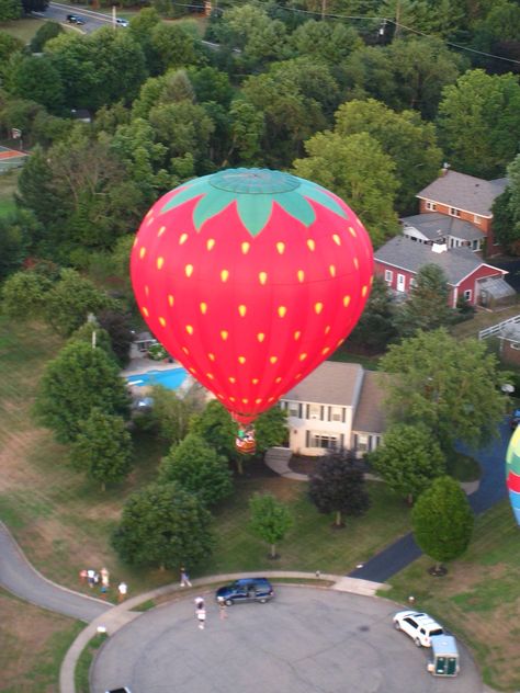 The Giant Strawberry! Giant Strawberry, Hot Air, Photography