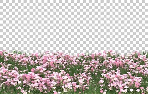 Field of flowers on transparent backgrou... | Premium Psd #Freepik #psd #3d-grass #flower-garden #flower-field #nature-flowers Gacha Flower Background, Flowers With Transparent Background, Transparent Flowers Png, Flower No Background, Flower Green Screen, Flower Garden Background, Gacha Flower, Flower Transparent Background, Flower Garden Illustration