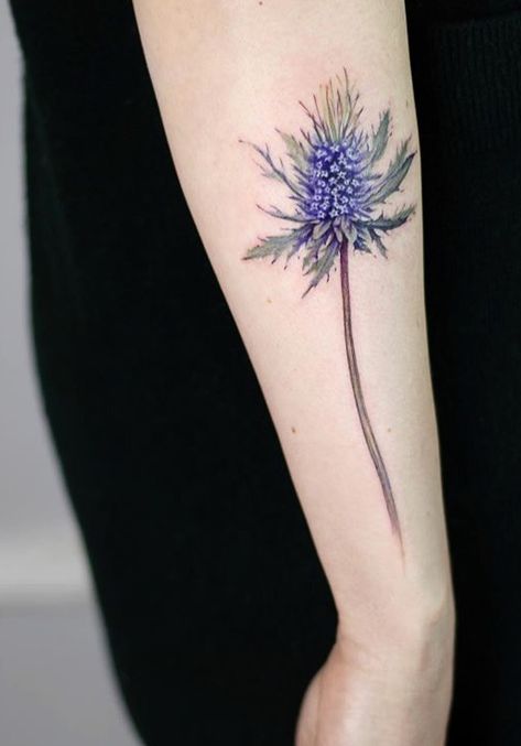 Eryngium Tattoo, Blue Thistle Tattoo, Dainty Thistle Tattoo, Purple Thistle Tattoo, Sausage Tattoo, Globe Thistle Tattoo, Minimal Thistle Tattoo, Thistle Arm Tattoo, Thistle Ankle Tattoo