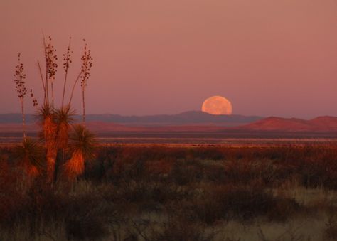 Sun Set Landscape, Western Sunset Aesthetic, Red Sky Landscape, Western Landscape Photography, Desert Grunge, Desert Aesthetic, Western Landscape, Western Aesthetic, Cinematic Photography