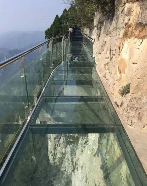 glass-bottomed-walkway-cracked-yuntai-mountain-henan-china-5 Front Walkway Landscaping, Scary Bridges, Tianmen Mountain, Glass Walkway, Chinese Mountains, Glass Bridge, Bridge Design, Glass Floor, Travel News