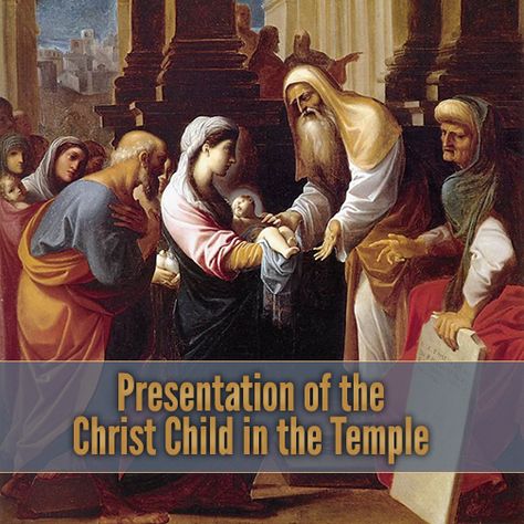 Presentation Of The Lord, Epiphany Of The Lord, Thomas Aquinas Quotes, Birthday Wishes For A Friend Messages, Divine Mercy Sunday, Jesus In The Temple, Happy Feast, Holy Saturday, The Transfiguration