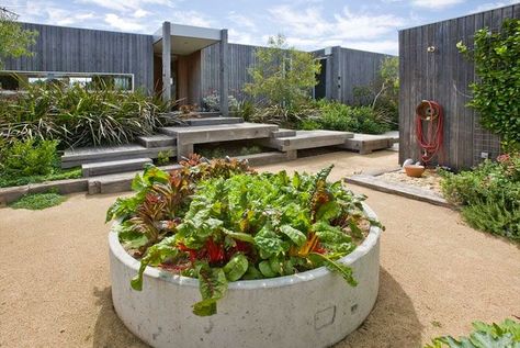 coastal container garden . concrete tube . veggie patch idea Front Garden Landscaping, Lifestyle Block, Vege Garden, Garden Design Layout Landscaping, Productive Garden, Australian Country, Front Gardens, Front Garden Landscape, Front Garden Design