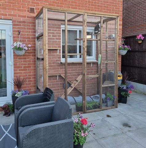 A catio designed for a small garden. Accessible from window. Catio Attached To Window, Small Window Catio, Small Catio Ideas Cat, Small Catio Cats, Cat Room Outdoor, Cat Room Indoor, Catios For Cats Window, Cat Room Ideas Small Spaces, Cat Rooms Indoor