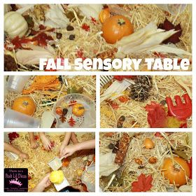 Mom to 2 Posh Lil Divas: Fall Themed Sensory Table in Preschool Fall Sensory Bin, Fall Sensory, Sensory Items, Preschool Crafts Fall, Sensory Boxes, Autumn Activities For Kids, Fall Preschool, Sensory Table, Preschool Science