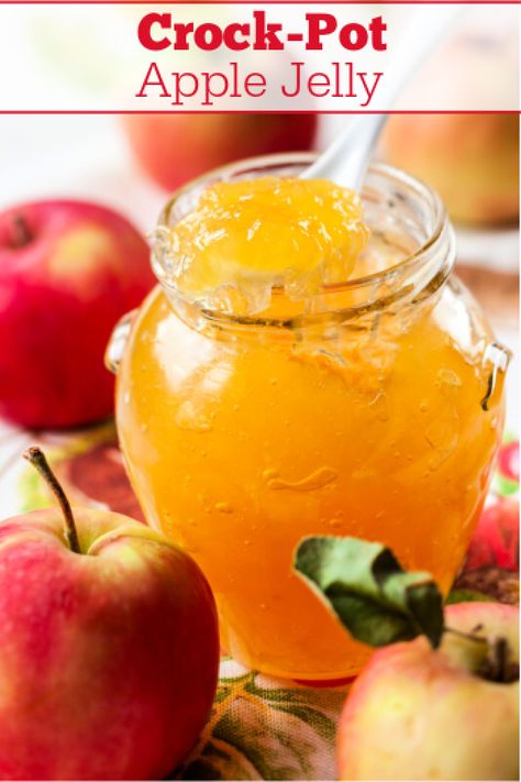 Crock-Pot Apple Jelly - Turn fresh apples into lovely jelly with this simple recipe for Crock-Pot Apple Jelly. With just 4 ingredients you will have your own flavorful jelly to spread on your morning toast or English muffin. Can be canned in jars for long term food storage. [Gluten Free, Low Calorie, Low Carb, Low Cholesterol, Low Fat, Low Sodium, Low Sugar, Vegan, Vegetarian & ZERO Weight Watchers SmartPoints per serving!] #CrockPotLadies #CrockPot #SlowCooker #Jelly #Canning Crockpot Apple Jelly Recipe, Candy Apple Jelly Recipe, Easy Apple Jelly Recipe, Canning Apple Jelly, Apple Jelly Recipe Canning With Pectin, Sugar Free Apple Jelly Recipe, Crockpot Jelly Recipes, Scrap Apple Jelly, Apple Jelly Recipe Canning