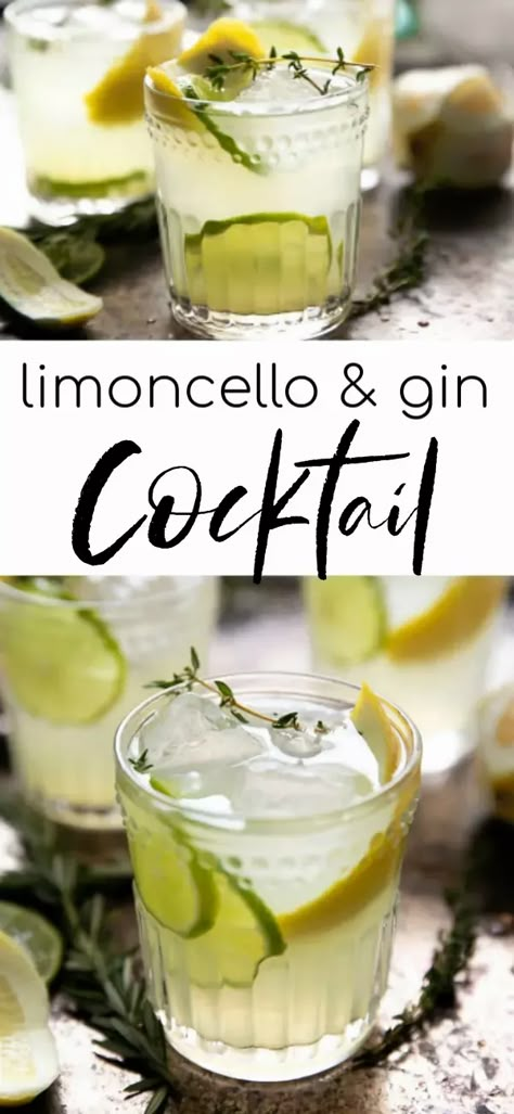 Botanical Drinks, Limoncello Drinks, Cocktails Easy, Limoncello Cocktails, Negroni Recipe, Paloma Recipe, Limoncello Recipe, Gin Recipes, Gin Cocktail Recipes