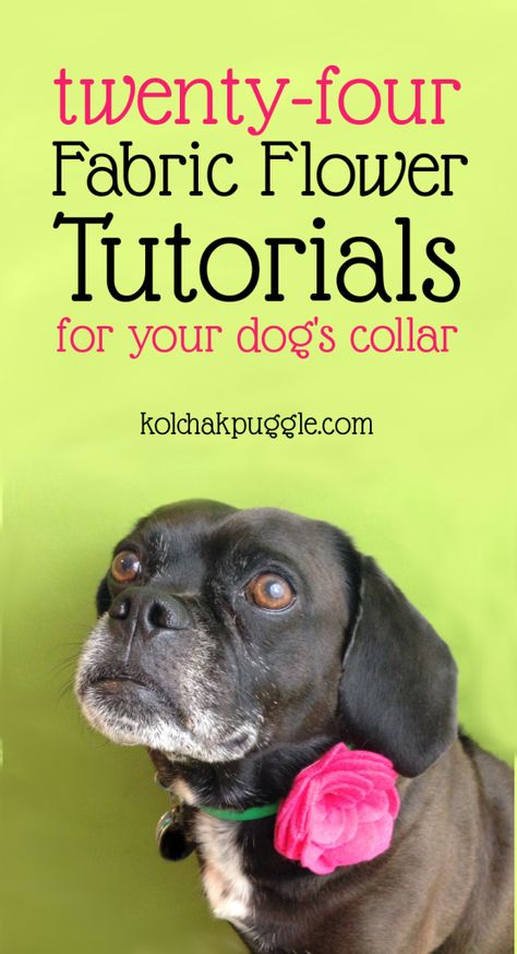 DIY Dog Collar Flower Tutorial Dogs Accessories, Dogs Diy Projects, Diy Dog Collar, Collars Diy, Dog Collar Bows, Dog Flower Collar, Dog Projects, Dog Crafts, Types Of Dogs