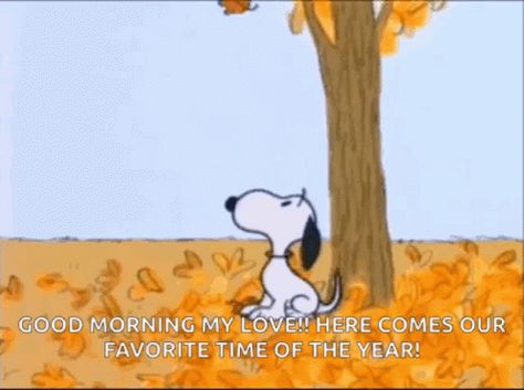 Good Morning Snoopy GIF - GoodMorning Snoopy FallingLeaf - Discover & Share GIFs Good Morning Autumn, Autumn Gif, Snoopy Videos, Snoopy Gif, Falling Gif, Morning Autumn, Good Morning Snoopy, Falling Leaf, Tenor Gif