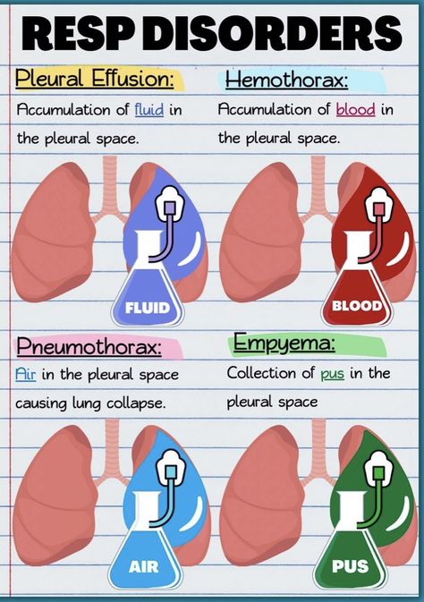 Nurse Practitioner Student Clinical, Respiratory Therapy Student, Nursing School Studying Cheat Sheets, Respiratory Disorders, Paramedic School, Nursing School Essential, Medical School Life, Nursing School Motivation, Basic Anatomy And Physiology