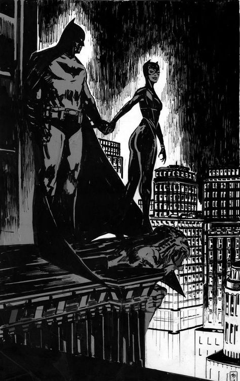 Catwoman - Album on Imgur Logo Batman, Batman Christian Bale, Catwoman Comic, Dc Comics Wallpaper, Batman Poster, Batman Arkham City, Batman Arkham Knight, Batman Artwork, Batman And Catwoman