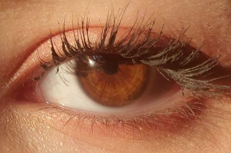 brown eyes>>> Light Brown Eyes In The Sun, Whiskey Brown Eyes, Brown Eyes Are Just Brown Eyes Until, Deep Brown Eyes Aesthetic, Brown Eyes Aesthetic Girl, Tawny Eyes, Pretty Brown Eyes Aesthetic, Golden Eyes Aesthetic, Brown Eyes Long Lashes