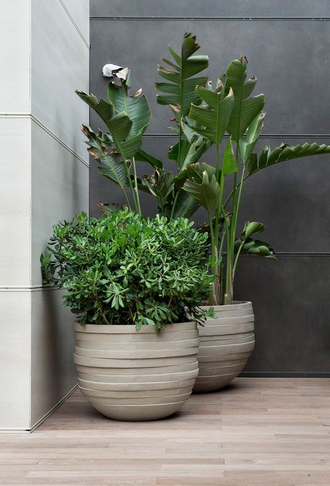 Handcrafted Planters with Heart and Soul | Cosh Living Exclusive Homes, Abs Cbn, Pots And Planters, Gardens Design, Pot Plant, Clay Design, Planter Box, Garden Shop, Authentic Design