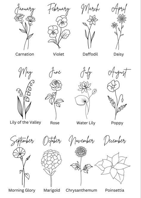 Herbal Logo Design, Herbal Logo, Flower Tattoo On Ribs, Herbal Leaves, Herbs Illustration, May Birth Flowers, Tea Logo, Flower Line Drawings, Drawn Flowers