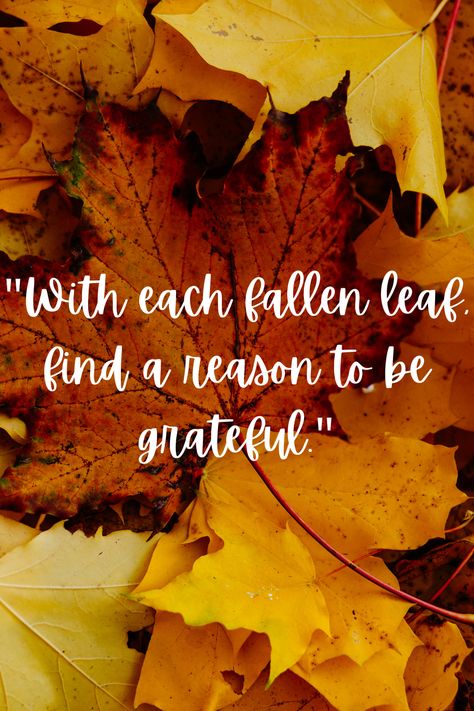 Cute Fall Quotes, Harvest Quotes, November Inspiration, Autumn Quotes Inspirational, Kindness Lessons, New Month Quotes, Calendar Quotes, Prayer For My Family, November Quotes