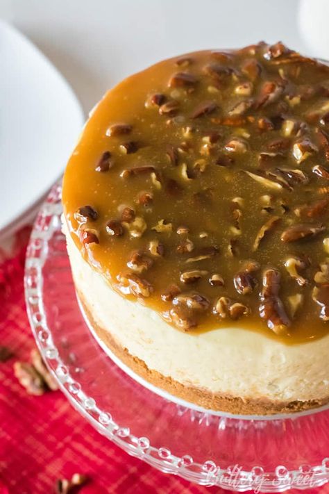 Instant Pot Praline Cheesecake is going to be your new favorite cheesecake for holidays or special occasions!  It's a decadent combination of creamy cheesecake, pecans and caramel which become an irresistible dessert! #cheesecake #instantpot #pressurecooker #dessert #christmas #thanksgiving #pralines #praline #pecans #caramel Cheesecake Without Sour Cream, Pecan Praline Cheesecake, Praline Cheesecake, Praline Pecans, Dessert Cheesecake, Dessert Christmas, Pecan Praline, How To Make Cheesecake, Pecan Pralines