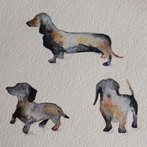 mini dash watercolour by LW Beagle Tattoo, Dachshund Painting, Dachshund Tattoo, Dapple Dachshund, Dachshund Art, Weiners, 강아지 그림, Watercolor Dog, Dog Illustration