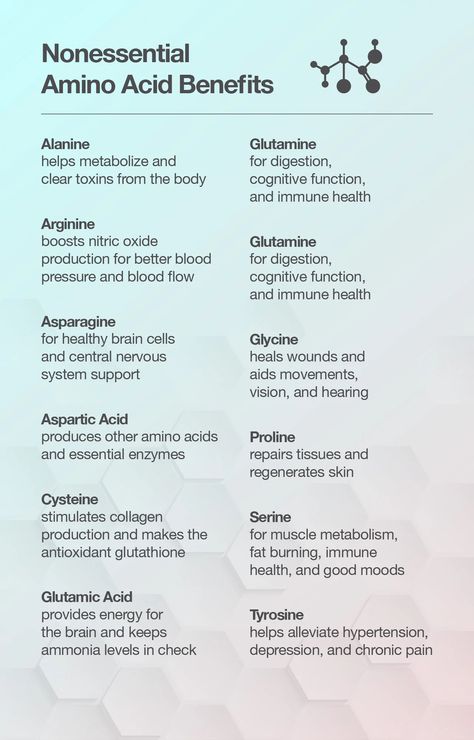 Amino Acids Food, Amino Acids Benefits, Amino Acid Supplements, Collagen Benefits, Muscle Protein, Healthy Brain, Naturopathy, Amino Acid, Immune Health