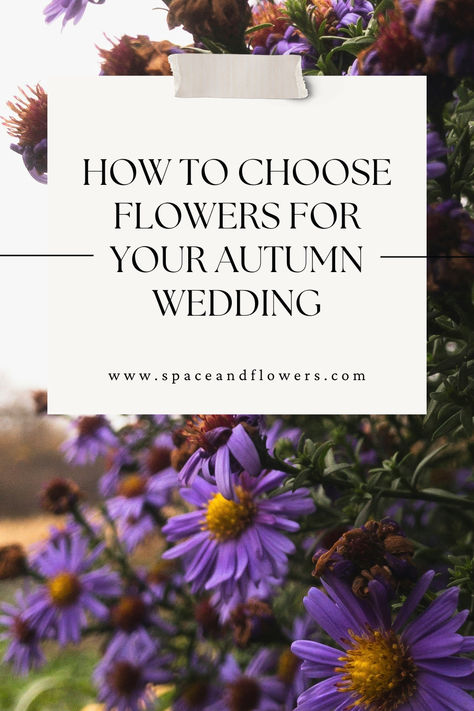 When planning an autumn wedding, the season itself becomes your best source of inspiration, especially when it comes to choosing flowers. Autumn offers an incredible array of blooms that capture the warmth, richness, and texture of the season. With so many beautiful options available, you can craft stunning floral arrangements that embody the essence of autumn. Here’s how to make the most of the season’s flowers for your wedding day. October Flowers In Season, Flowers In Season, October Flowers, Flowers Autumn, Flowers For You, Can Crafts, Autumn Wedding, Flower Ideas, Source Of Inspiration