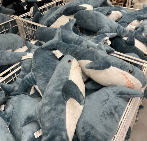 Sharks Stuffed Animals, Shark Plushies Aesthetic, Big Shark Plush, Cute Shark Plush, Shark Plushie Aesthetic, Sharks Plush, Shark Aesthetics, Shark Plushies, Ikea Shark