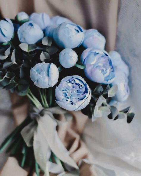 Cinderella Flower, Cinderella Blue, Ibiza Wedding, Modern Disney, Beautiful Bouquet Of Flowers, Wedding Diy, Pinterest Photos, Forest Wedding, Pinterest Girls