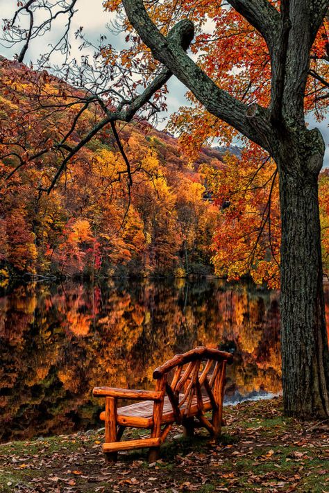 His-unicorn: …. J Under A Tree, Autumn Lake, Autumn Scenes, Autumn Scenery, Autumn Beauty, Fall Pictures, Lombok, Autumn Aesthetic, Fall Foliage