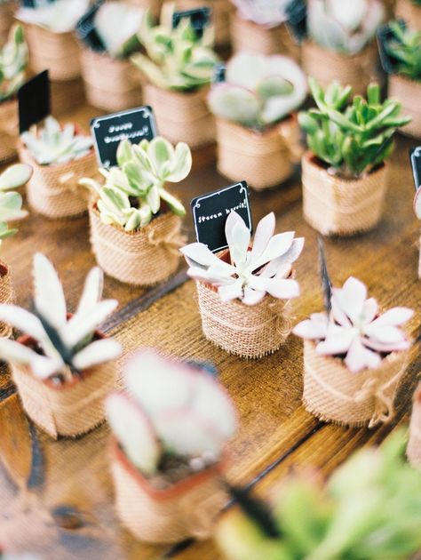 Potted succulents and cacti make perfect takeaways. Pop in staked tags to transform them into live place cards. Succulent Wedding Favors, Creative Wedding Favors, Wedding Favors And Gifts, Best Wedding Favors, Weddings By Color, Succulent Gifts, Wedding Favors Cheap, Succulent Wedding, Mini Succulents