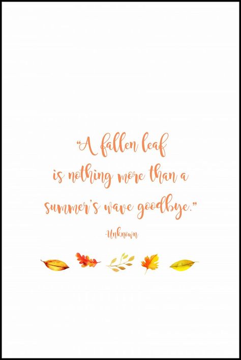 "A fallen leaf is nothing more than a summer's wave goodbye.” -Unknown. FREE autumn quote printable. 4x6, 5x7, 8x10 sizes available. #autumn #fall #autumnquote #freeprintable | https://www.roseclearfield.com Goodbye Summer Quotes, Fall Fashion Quotes, Leaf Quote, Leaf Quotes, April Weather, Autumn Quote, Autumn Poems, Quote Printables, Berry Patch