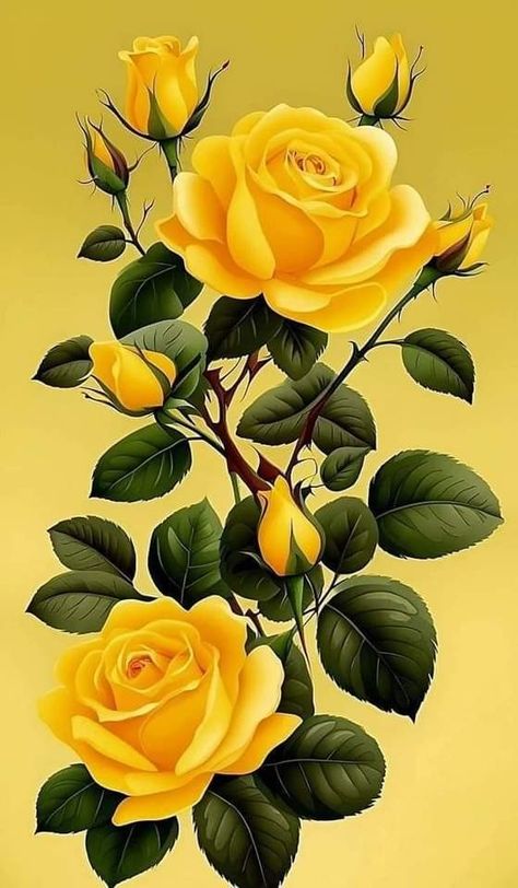 Roses Flowers Aesthetic, Best Flower Wallpaper, Rose Flower Pictures, Beautiful Flowers Images, Rose Flower Wallpaper, Floral Wallpaper Phone, Lovely Flowers Wallpaper, Android Wallpaper Flowers, Beautiful Art Pictures