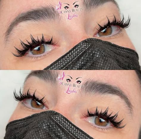 Anime Eyelash Extensions Styles, Lash Extensions Spiked Style, Anime Style Eyelash Extensions, Eyelashes Anime Style, Spiky Wispy Lash Extensions, Canny Beauty Lashes, 6d Anime Lashes, Kawaii Lash Extensions, Anime Eyelashes Extensions