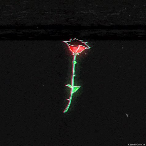 flower and gif image Rosé Gif, Aesthetic Gif, Film Aesthetic, A Rose, Black Aesthetic, Red Rose, Motion Design, Art Sketchbook, Dark Aesthetic