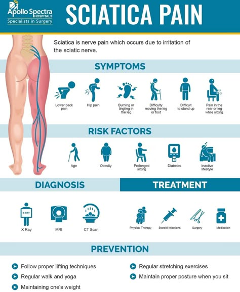 Jaw Pain Relief, Sports Physical Therapy, Sciatica Exercises, Basic Anatomy And Physiology, Sciatica Pain Relief, Pharmacology Nursing, Spine Health, Sciatic Nerve Pain, Sciatica Pain