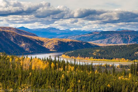 River Photos, Yukon River, Alaska Photos, Bering Sea, Yukon Territory, Native American Symbols, Dog Sledding, North West, British Columbia