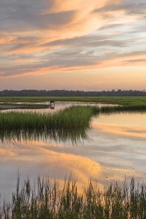 Where The Crawdads Sing Aesthetic, Marsh Aesthetic, Delia Owens, Crawdads Sing, Paradise On Earth, Pretty Sky, Foto Art, Nature Aesthetic, Beauty Art